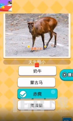 送鸭子游戏,送鸭子游戏的欢乐冒险之旅(图3) 送鸭子游戏,送鸭子游戏的欢乐冒险之旅(图3)