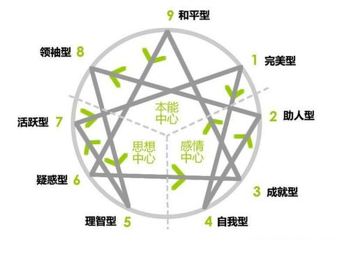 九型人格游戏,探索自我与他人的独特性格密码(图2)