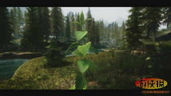 游戏植被,游戏植被的多样性与生态构建(图1) 游戏植被,游戏植被的多样性与生态构建(图1)