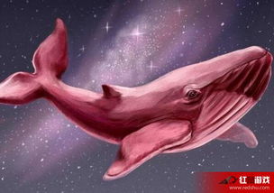 粉红鲸游戏,探索奇幻海洋的冒险之旅(图1) 粉红鲸游戏,探索奇幻海洋的冒险之旅(图1)