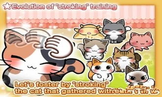 我爱躲猫猫游戏无广告 
