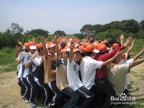 团队游戏球,球类游戏的团队精神探索(图3) 团队游戏球,球类游戏的团队精神探索(图3)
