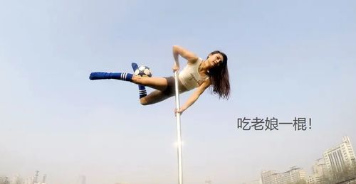 钢管美女游戏,探寻钢管美女游戏中的激情与梦想(图1) 钢管美女游戏,探寻钢管美女游戏中的激情与梦想(图1)