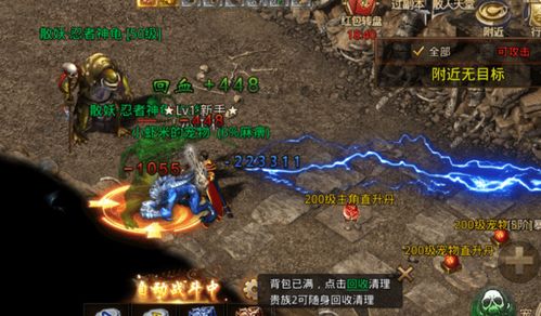 游戏无敌挂,轻松征服虚拟世界的秘密武器(图2) 游戏无敌挂,轻松征服虚拟世界的秘密武器(图2)
