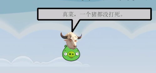 小鸟发射游戏,小鸟发射游戏的刺激冒险之旅(图2) 小鸟发射游戏,小鸟发射游戏的刺激冒险之旅(图2)