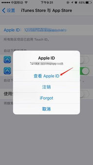 苹果无法充值游戏,游戏无法充值背后的原因与解决方案(图1) 苹果无法充值游戏,游戏无法充值背后的原因与解决方案(图1)