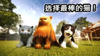 游戏赶小猫,一场与猫咪的欢乐追逐游戏(图2) 游戏赶小猫,一场与猫咪的欢乐追逐游戏(图2)