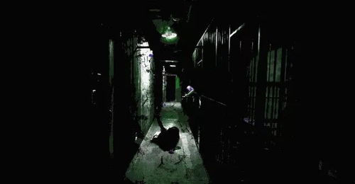 鬼屋院游戏,鬼屋院游戏深度解析(图2) 鬼屋院游戏,鬼屋院游戏深度解析(图2)