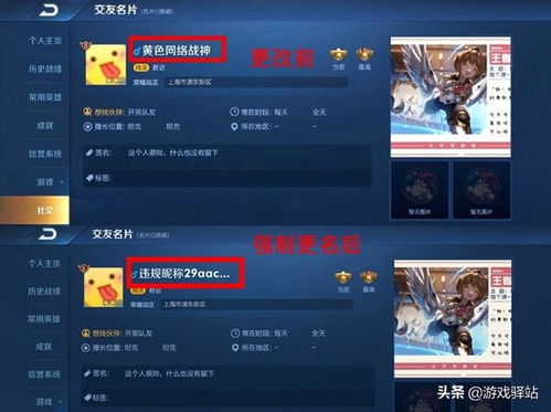 游戏昵称猫,探寻神秘喵星人的奇幻冒险之旅(图3) 游戏昵称猫,探寻神秘喵星人的奇幻冒险之旅(图3)