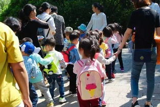 地上做游戏,地上游戏时光的欢乐篇章(图2) 地上做游戏,地上游戏时光的欢乐篇章(图2)