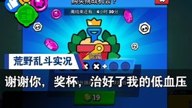 芦葫游戏,探索奇幻世界的冒险之旅(图2) 芦葫游戏,探索奇幻世界的冒险之旅(图2)