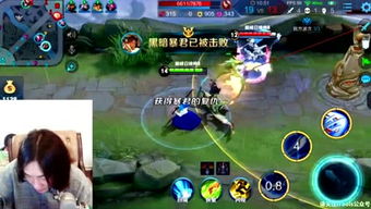 木子游戏控,揭秘游戏世界的魅力与奥秘