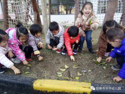 撒树叶游戏,一场充满欢乐与智慧的户外游戏体验(图3) 撒树叶游戏,一场充满欢乐与智慧的户外游戏体验(图3)
