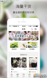 绿手指游戏,打造绿色家园的趣味之旅(图1)