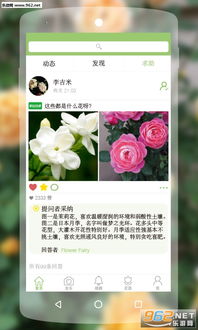 绿手指游戏,打造绿色家园的趣味之旅(图3)