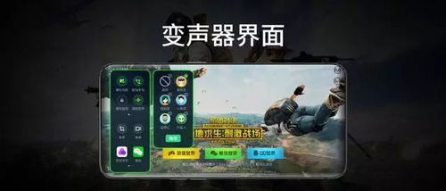 开启游戏变音,解锁沉浸式听觉盛宴(图2) 开启游戏变音,解锁沉浸式听觉盛宴(图2)