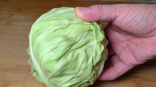 撕包菜游戏,锻炼团队协作的欢乐时光(图3)