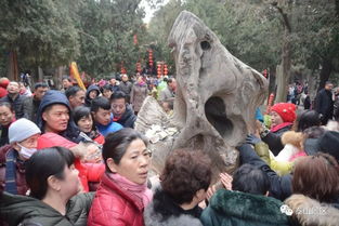 游戏岱庙,探寻古代帝王祭祀之地的神秘魅力(图2) 游戏岱庙,探寻古代帝王祭祀之地的神秘魅力(图2)