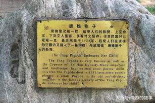 游戏岱庙,探寻古代帝王祭祀之地的神秘魅力(图1) 游戏岱庙,探寻古代帝王祭祀之地的神秘魅力(图1)