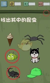 最囧的游戏怎么把虫子藏起来,最囧游戏中的趣味挑战揭秘