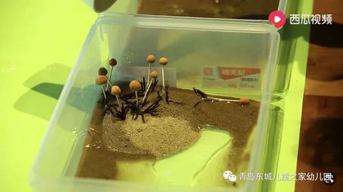 亲子游戏躲避炸弹游戏,欢乐躲避炸弹游戏体验(图1) 亲子游戏躲避炸弹游戏,欢乐躲避炸弹游戏体验(图1)