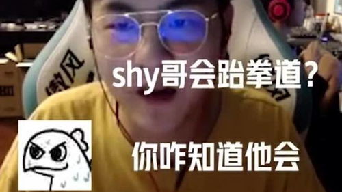 游戏里大哥,游戏世界中的王者之路