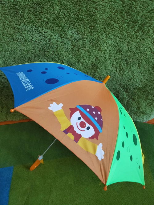雨伞游戏名,一场别开生面的户外冒险之旅