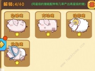 小猪合成游戏,打造你的梦幻家园