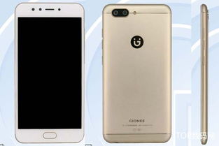 金立s10玩游戏卡吗,玩游戏卡吗？(图1)