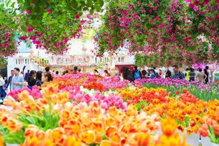 游戏的花海,梦幻仙境的奇幻冒险之旅(图1)