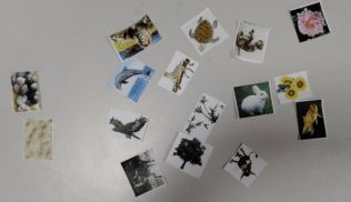 一年级玩的室内游戏,一年级童趣游戏大盘点”(图3) 一年级玩的室内游戏,一年级童趣游戏大盘点”(图3)