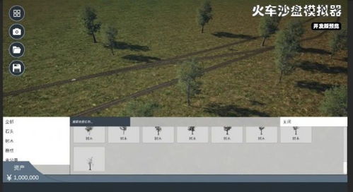 疯狂最美沙滩 