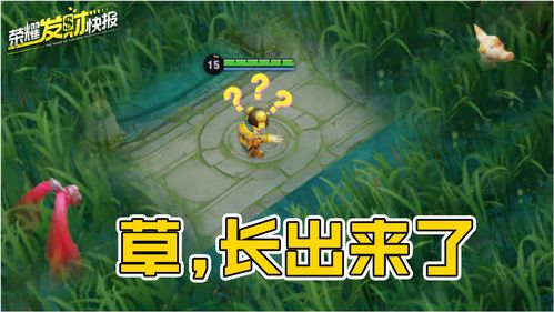 游戏小草,绿色冒险之旅(图2) 游戏小草,绿色冒险之旅(图2)