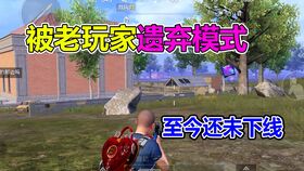 打游戏素质,素质玩家风采展示(图2) 打游戏素质,素质玩家风采展示(图2)