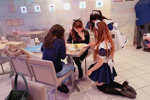 女仆游戏屋,体验梦幻女仆生活(图3) 女仆游戏屋,体验梦幻女仆生活(图3)