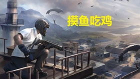 alc游戏,ALC游戏深度解析(图2) alc游戏,ALC游戏深度解析(图2)