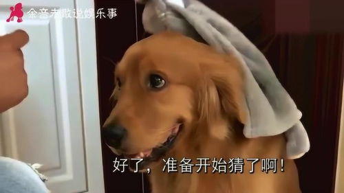 猜榴莲游戏,揭秘果中皇后之谜(图1) 猜榴莲游戏,揭秘果中皇后之谜(图1)