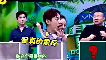 楼哥游戏,探索无尽奇幻世界的冒险之旅(图3) 楼哥游戏,探索无尽奇幻世界的冒险之旅(图3)