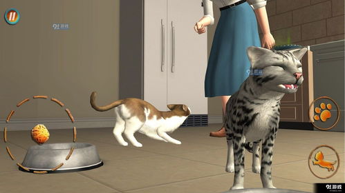 猫咪恋游戏,猫咪恋游戏大揭秘(图1)
