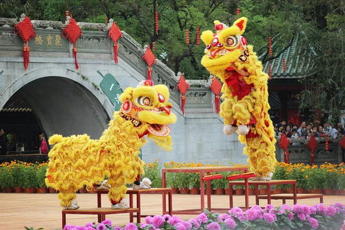 木薯游戏,探索奇幻世界的冒险之旅(图3) 木薯游戏,探索奇幻世界的冒险之旅(图3)