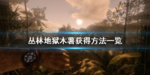 木薯游戏,探索奇幻世界的冒险之旅(图1) 木薯游戏,探索奇幻世界的冒险之旅(图1)