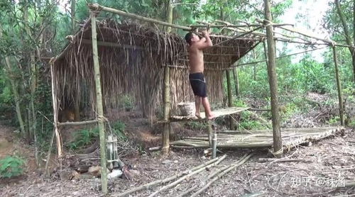 木薯游戏,探索奇幻世界的冒险之旅(图2) 木薯游戏,探索奇幻世界的冒险之旅(图2)