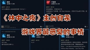 游戏vgc,荣耀之战(图3) 游戏vgc,荣耀之战(图3)