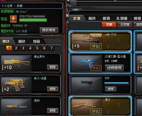 游戏号等级,探寻游戏号成长之路(图1) 游戏号等级,探寻游戏号成长之路(图1)