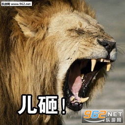 喊动物游戏,趣味喊动物游戏欢乐多(图1) 喊动物游戏,趣味喊动物游戏欢乐多(图1)