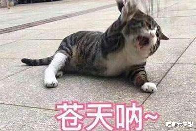 怕不急游戏,挑战极限的紧张刺激冒险之旅(图2) 怕不急游戏,挑战极限的紧张刺激冒险之旅(图2)