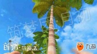 椰子做游戏,椰子元素创意游戏大集合(图3) 椰子做游戏,椰子元素创意游戏大集合(图3)