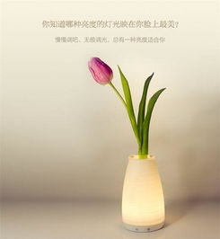插花游园游戏,乐游花海——插花游园游戏欢乐盛宴(图2) 插花游园游戏,乐游花海——插花游园游戏欢乐盛宴(图2)