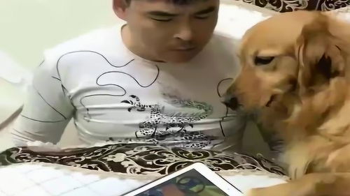 妞妞打游戏,从新手到高手的蜕变之旅(图1) 妞妞打游戏,从新手到高手的蜕变之旅(图1)