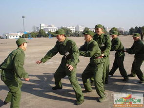 倒鹰游戏,挑战极限的智慧竞技之旅(图3) 倒鹰游戏,挑战极限的智慧竞技之旅(图3)